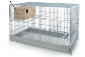 Cage pour oiseaux inséparables